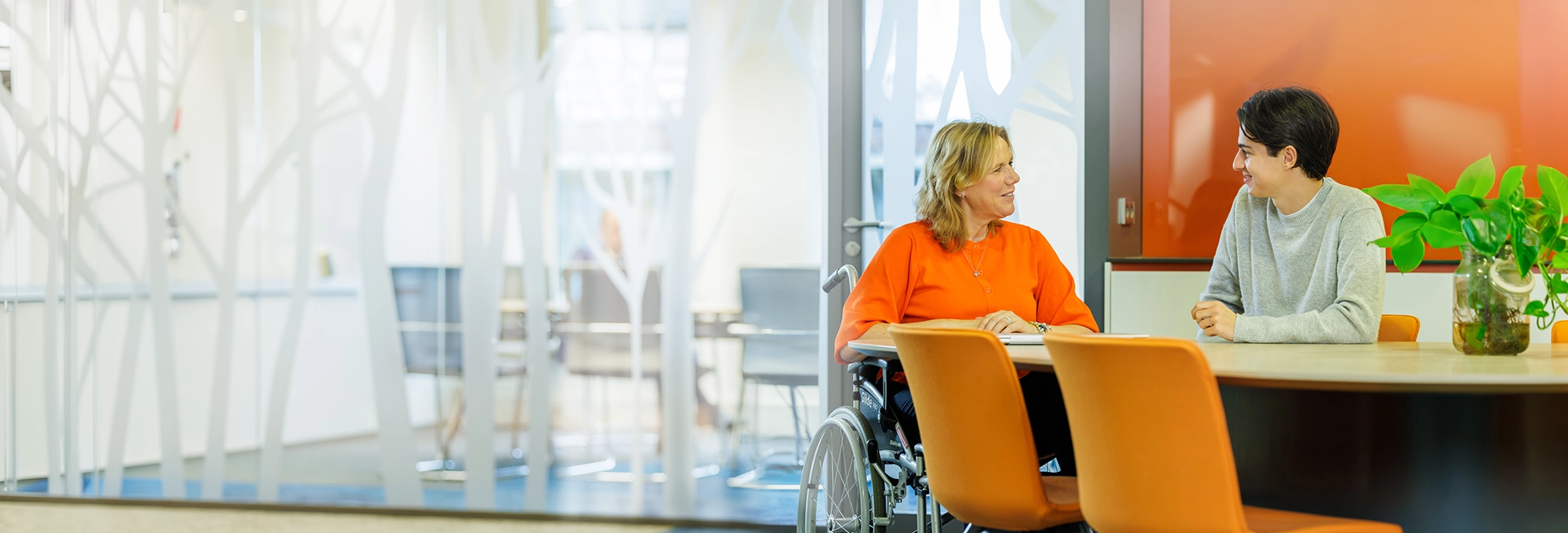 Decoratieve foto van een mannelijke collega en vrouwelijke collega in rolstoel van de Regionale Belasting groep, welke direct in de camera kijken.